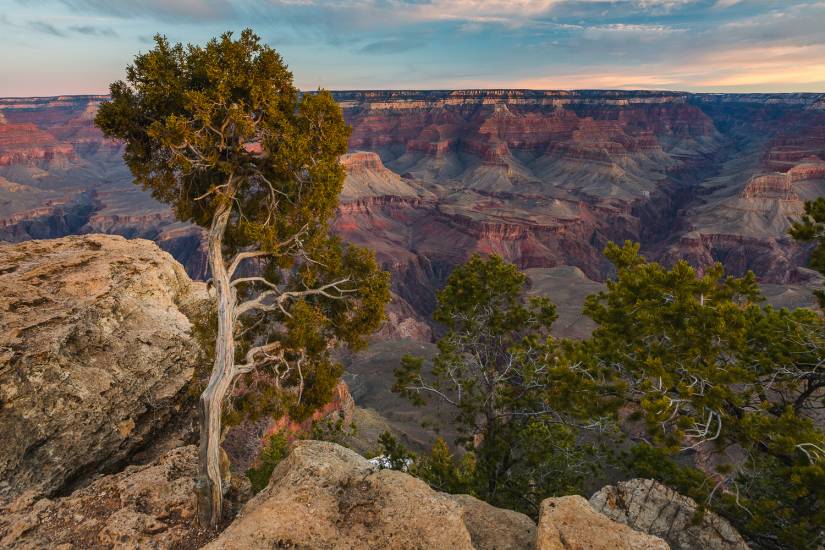 Photo - USA - Grand Canyon #12